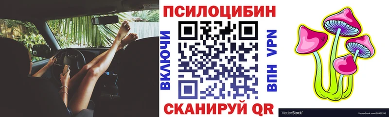 Псилоцибиновые грибы прущие грибы  купить наркоту  MEGA ссылки  Красный Кут 
